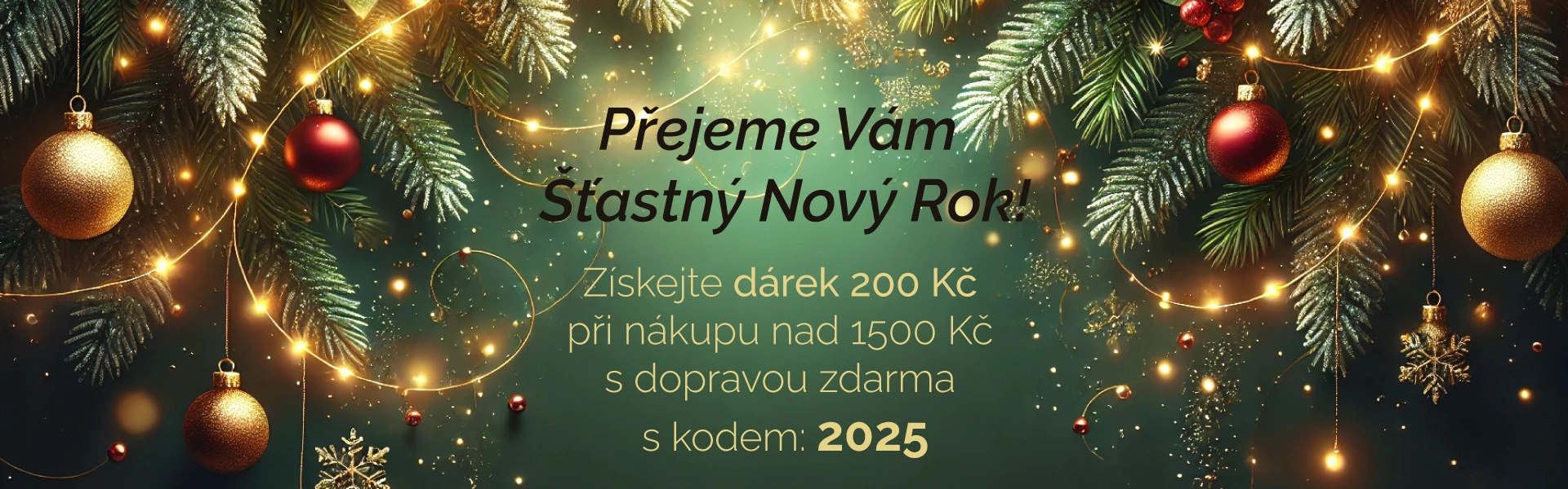 Happy New Year 2025!