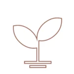 Ekologická a udržitelná volba